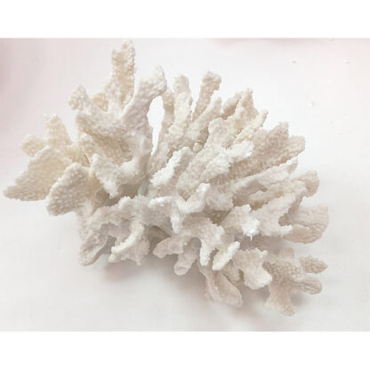 koraal redealer