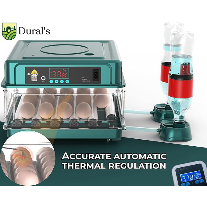 kippenei broedmachine