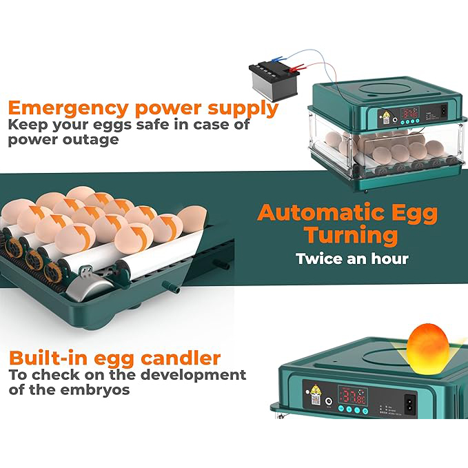kippenei broedmachine