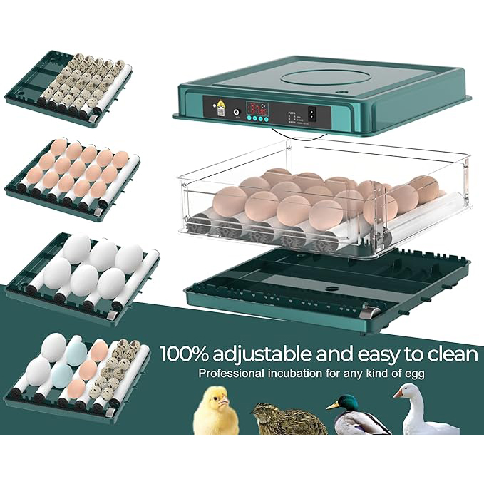 kippenei broedmachine