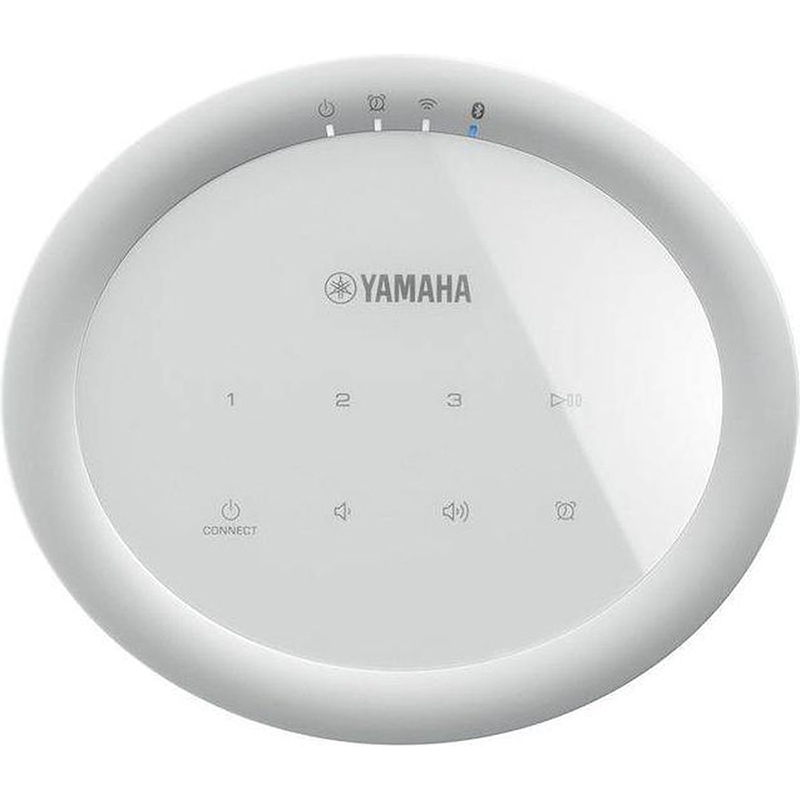 yamaha musiccast 20