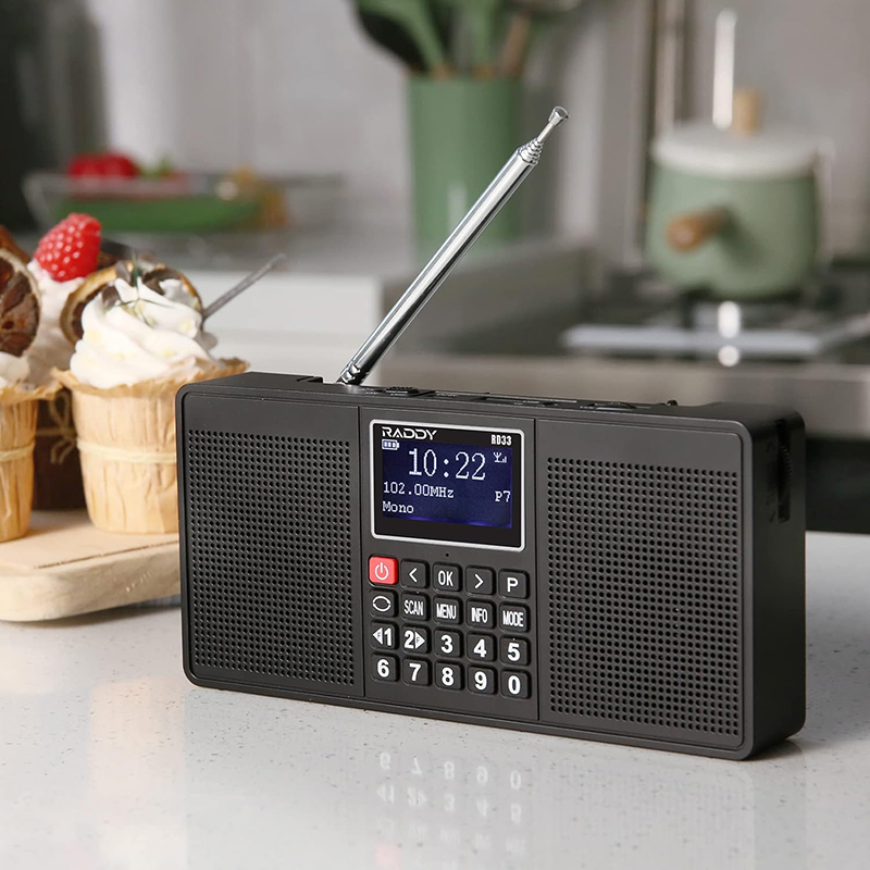 raddy dab radio