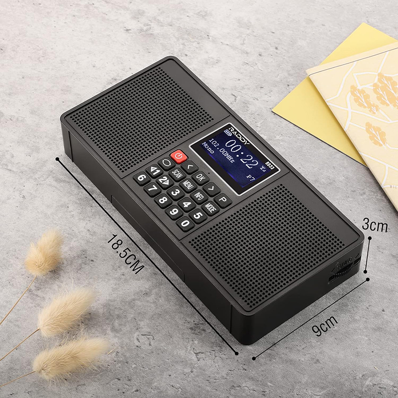 raddy dab radio