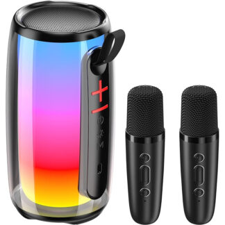 microfoons karaoke set