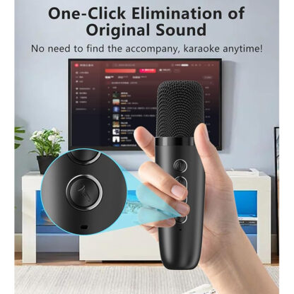 microfoons karaoke set