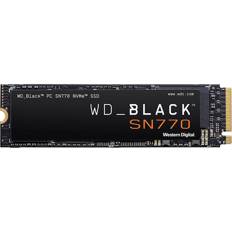 ws 1tb ssd
