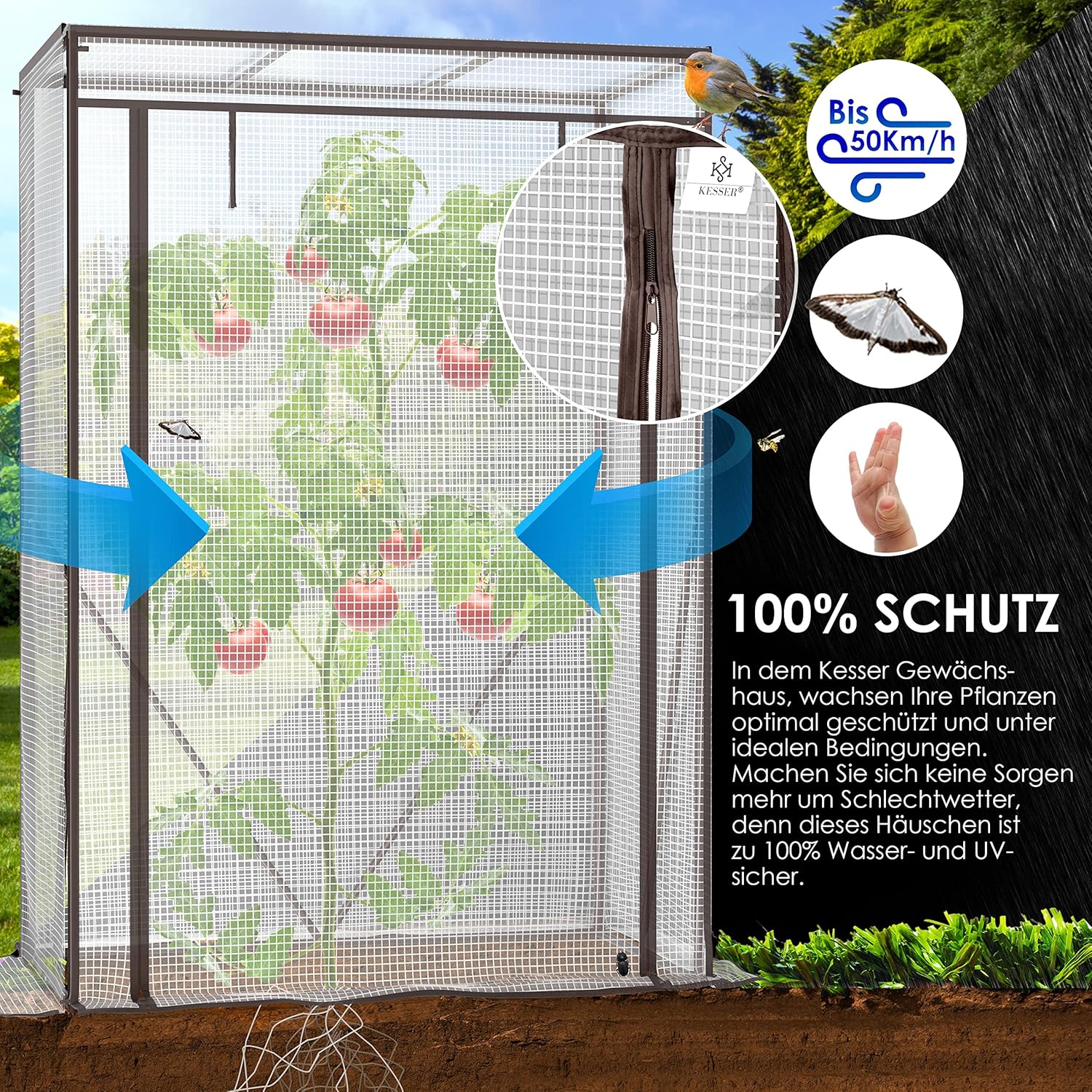 tomatenkas / tuinkas / foliekas - met oproldeur - 100 x 50 x 150 cm - voor tuin en balkon - Afbeelding 6