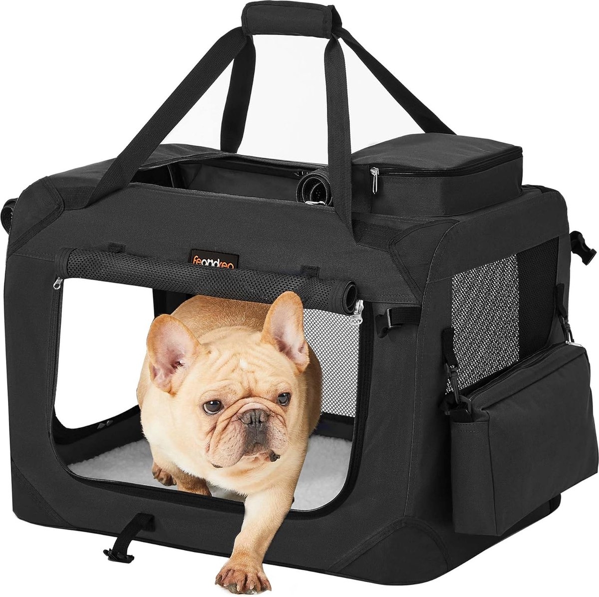 Hond - opvouwbare hondenbench - 60 x 42 x 42 cm - hondentransportbox M - Oxford-stof - gaas - draagbaar - zwart - PDC60H