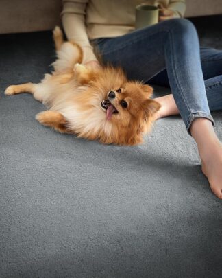 Vloerkleed 120x170 cm – antislip tapijt – wasbaar en superzacht – grijs – TAR012G01