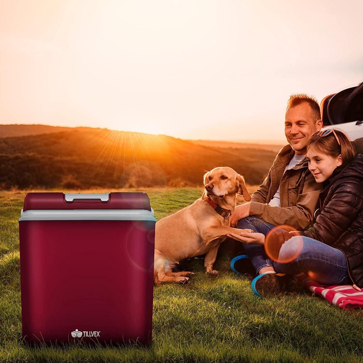 Elektrische koelbox - 12V / 230V - verwarmen en koelen - 24 liter - rood - Afbeelding 4