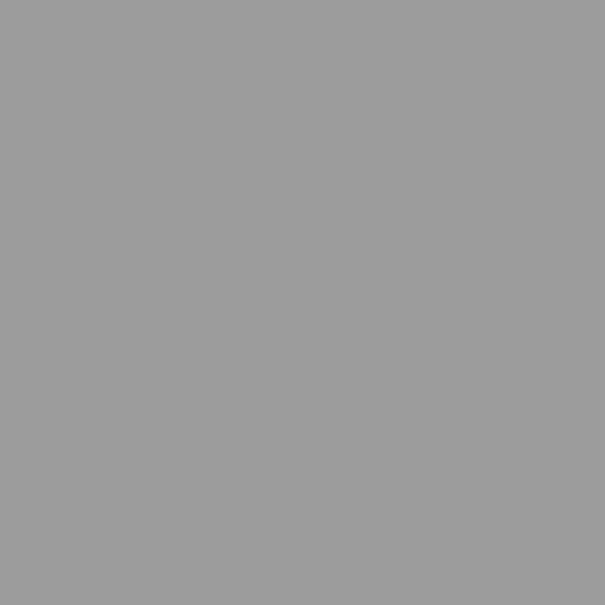Plantenbak - bloempot - 160 cm lengte - metaal grijs - 160x40x75 - cm - Afbeelding 6